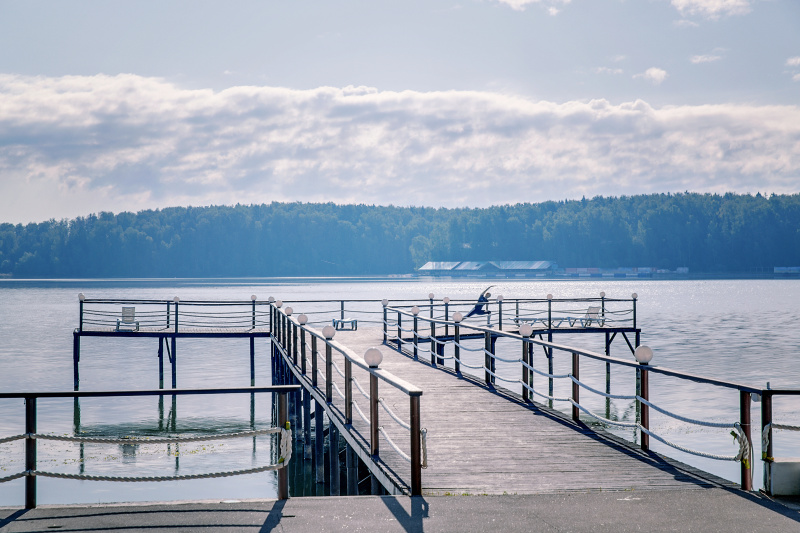 Дневная карта гостя